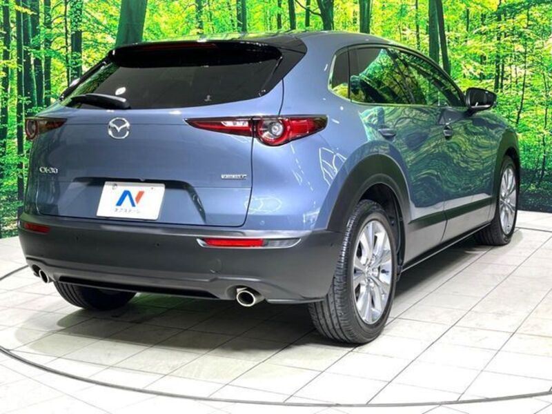 CX-30