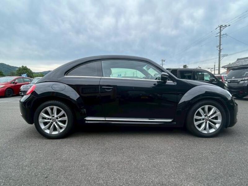 THE BEETLE