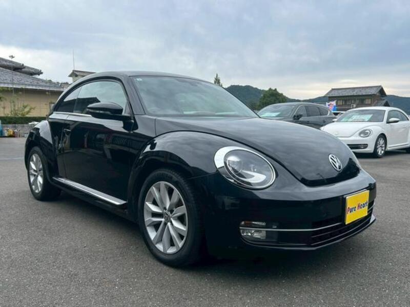 THE BEETLE