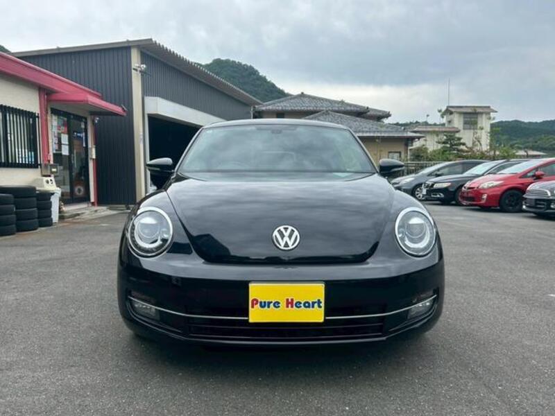 THE BEETLE
