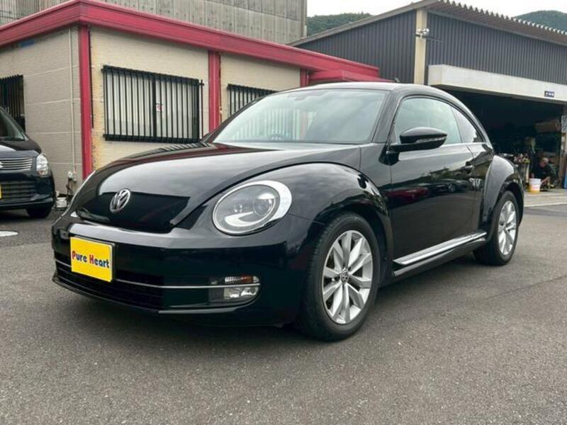 THE BEETLE