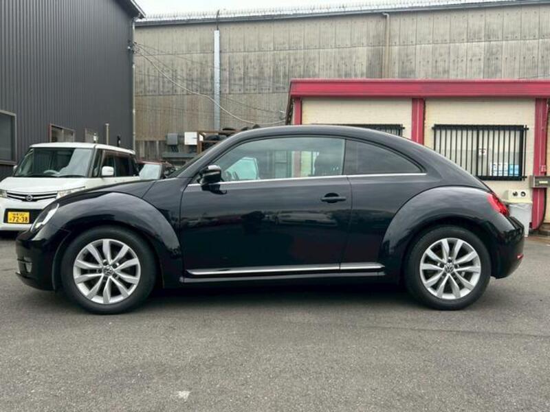 THE BEETLE