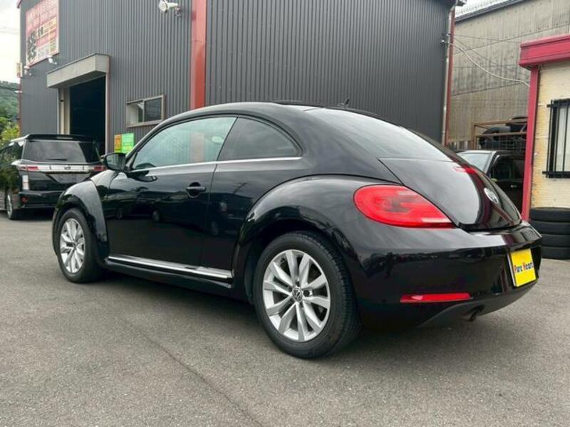 THE BEETLE