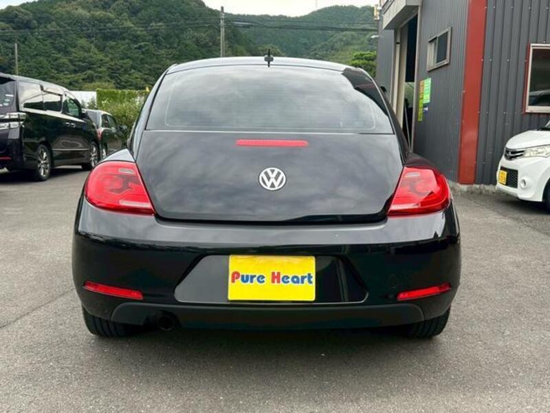 THE BEETLE