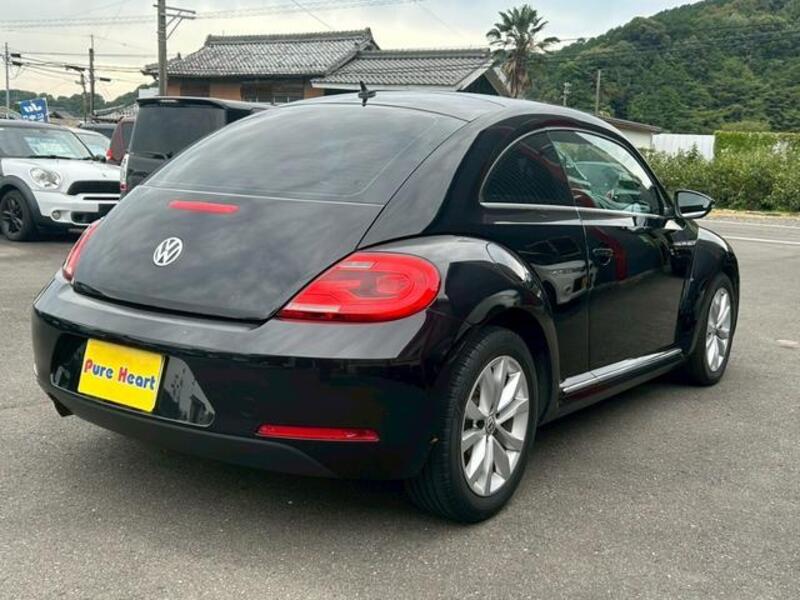 THE BEETLE