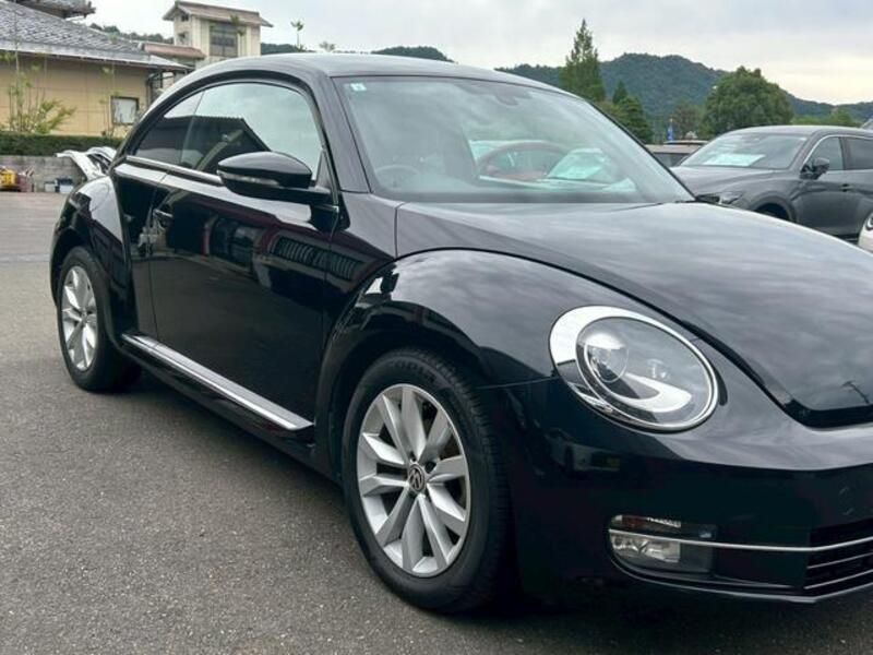 THE BEETLE
