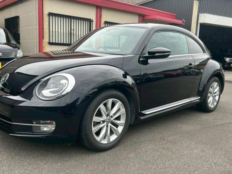 THE BEETLE