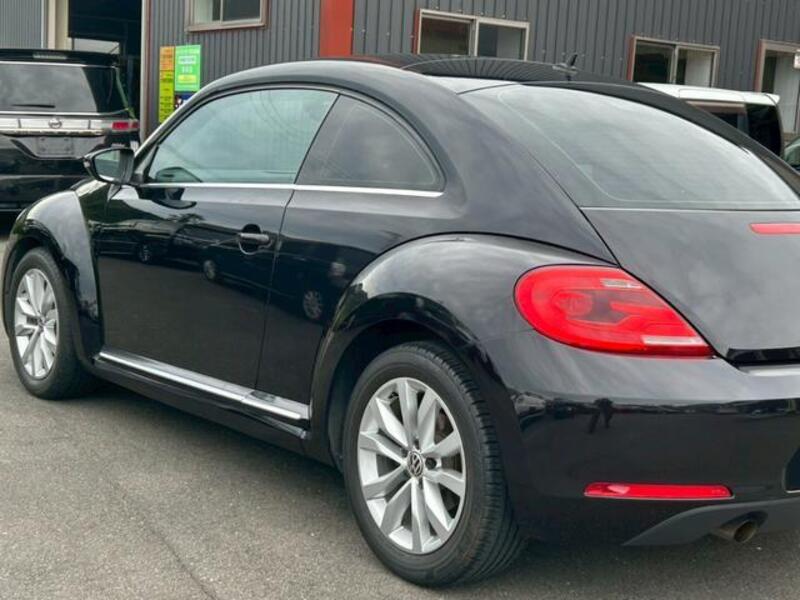 THE BEETLE