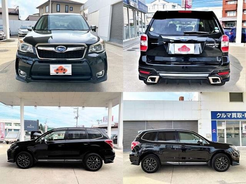 FORESTER