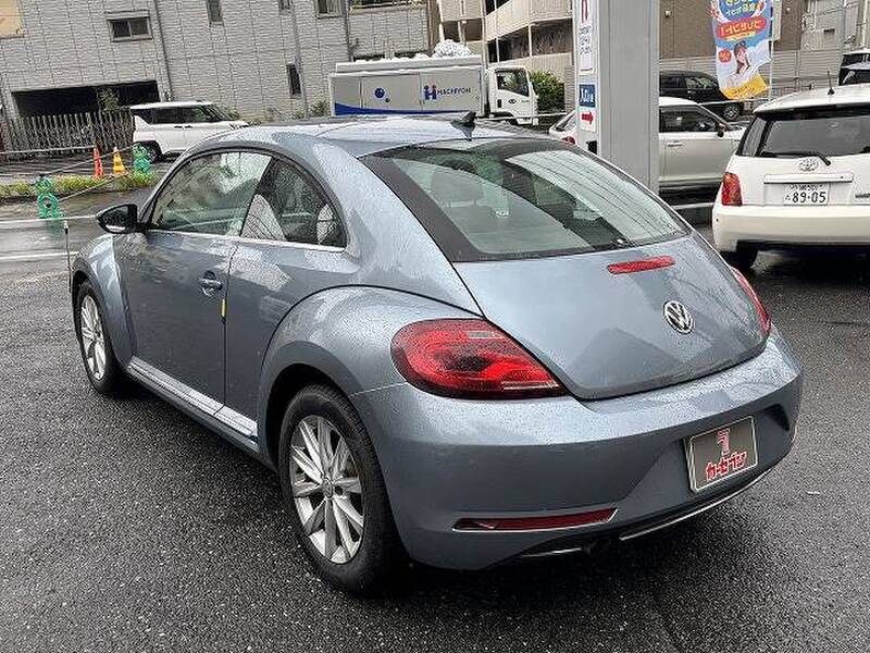 THE BEETLE