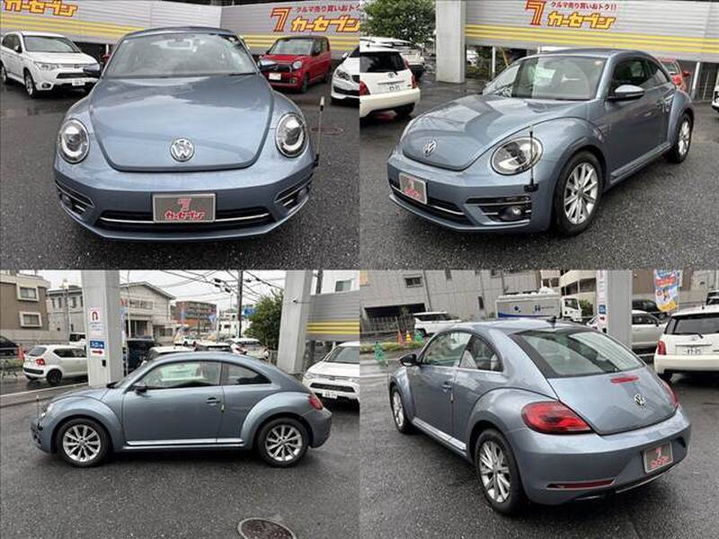 THE BEETLE
