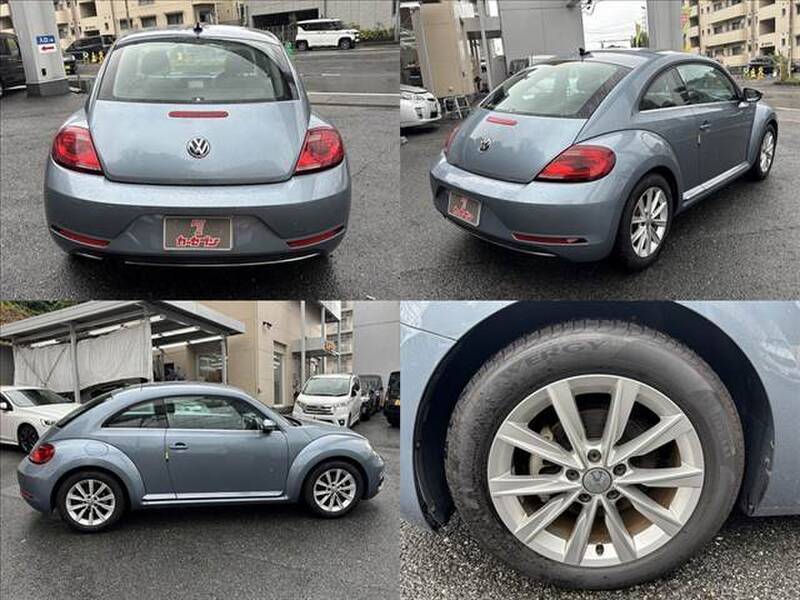 THE BEETLE