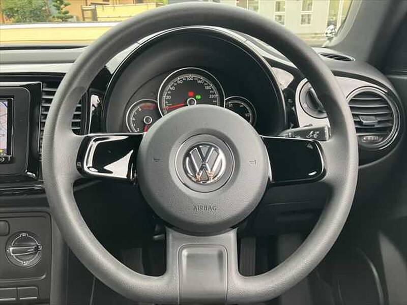 THE BEETLE