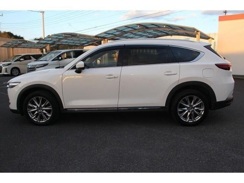 CX-8