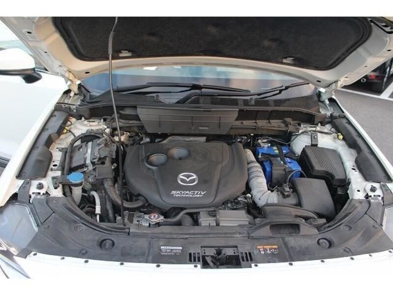 CX-8