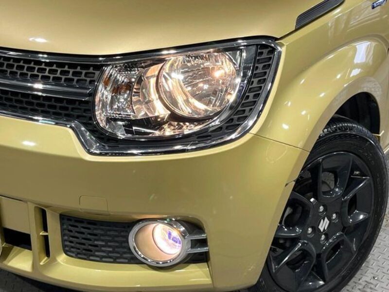 IGNIS