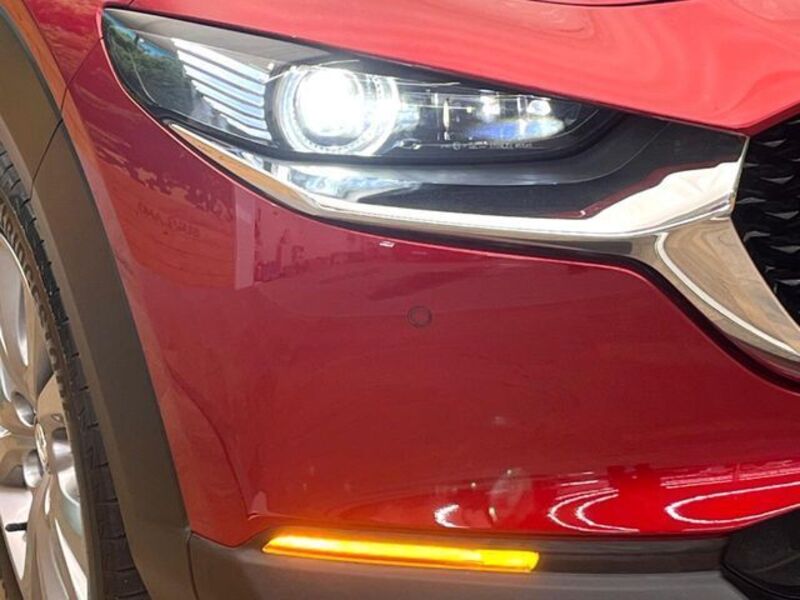 CX-30