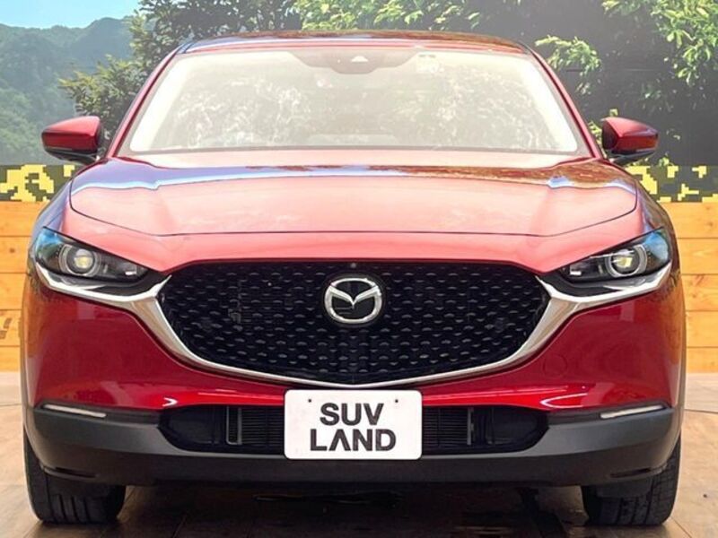 CX-30