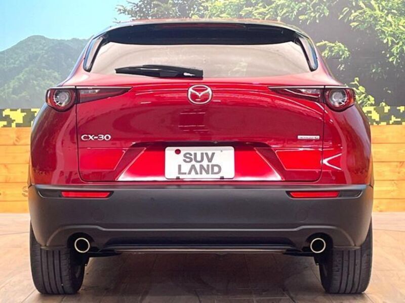 CX-30