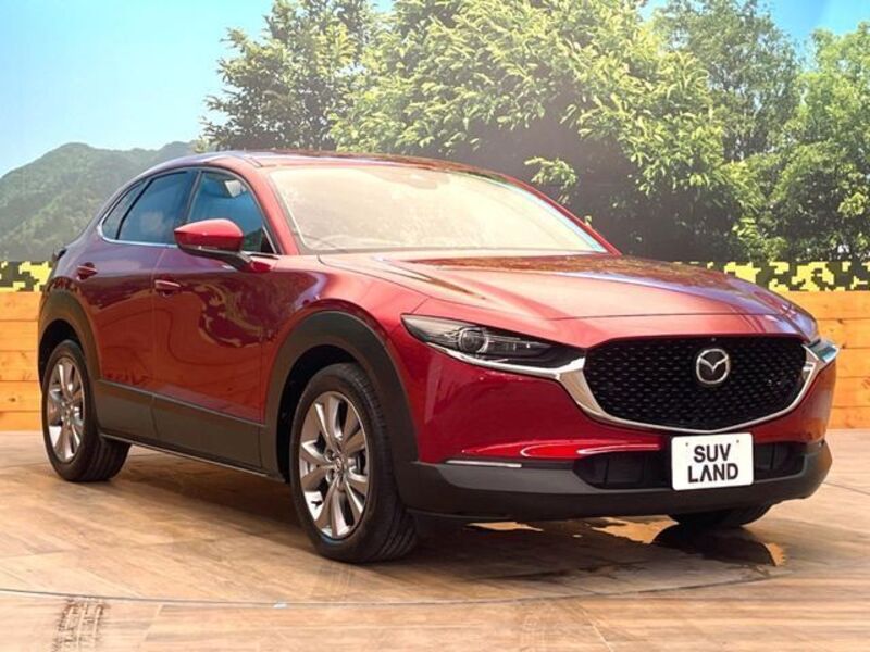 CX-30