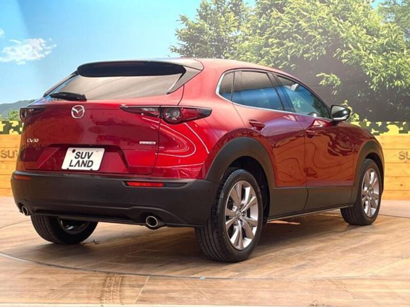 CX-30