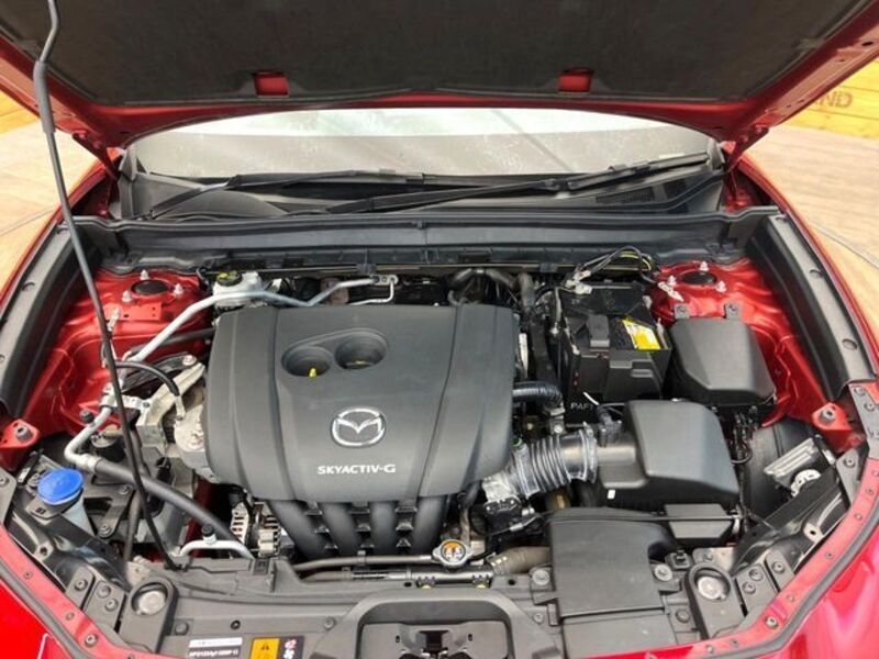 CX-30