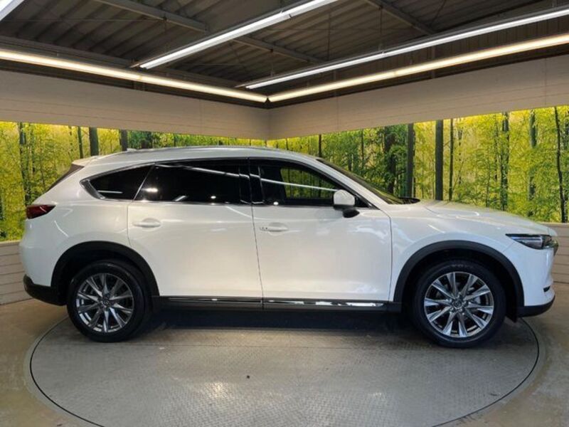 CX-8