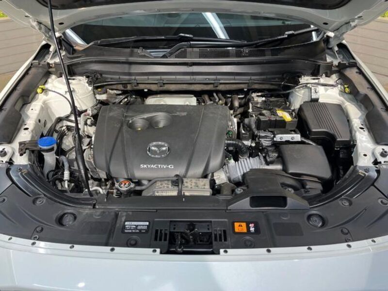 CX-8