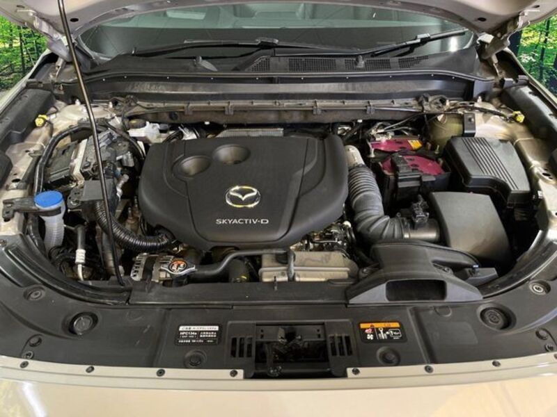 CX-8