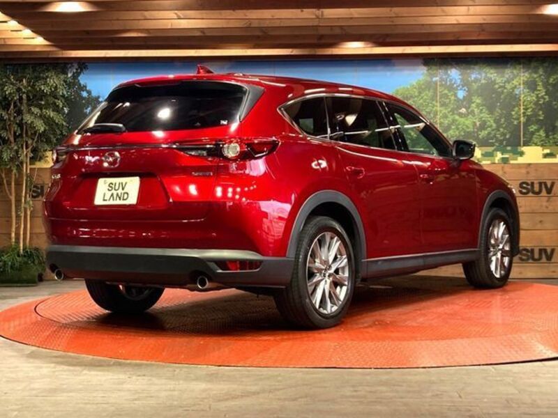 CX-8
