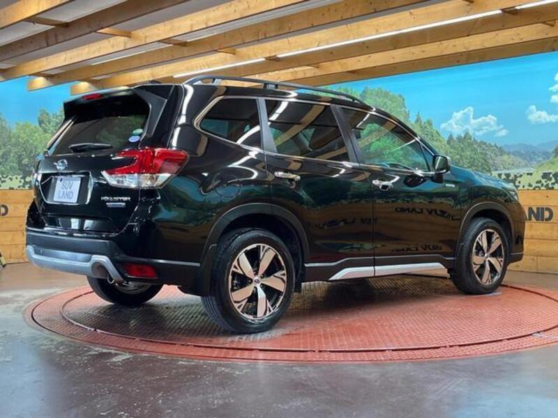FORESTER