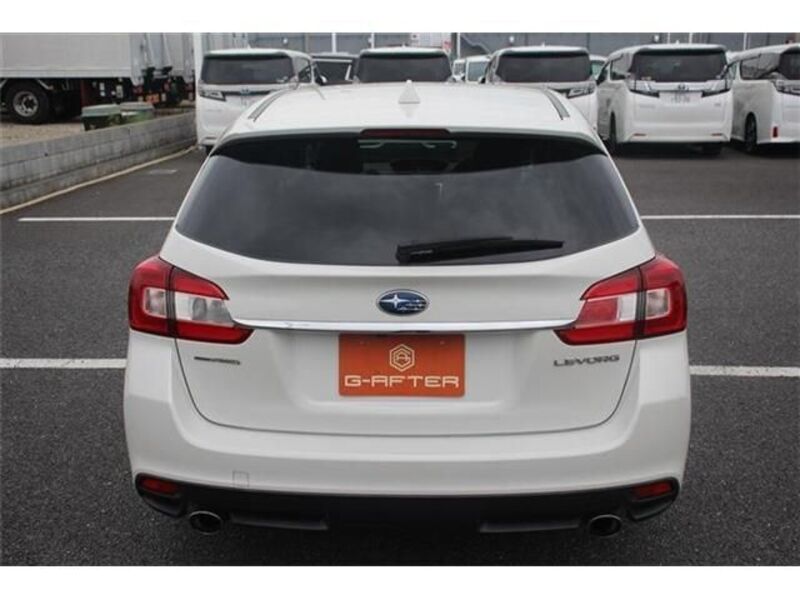 LEVORG