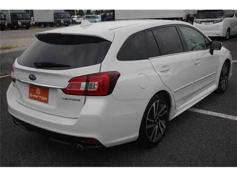 LEVORG