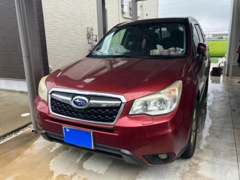 FORESTER-0