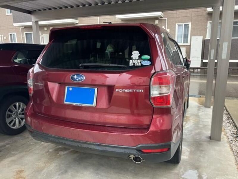 FORESTER