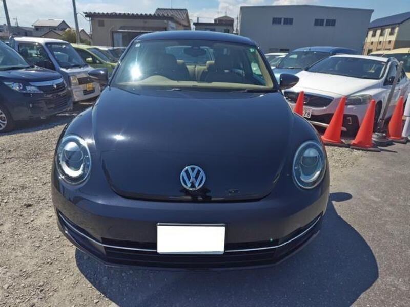 THE BEETLE