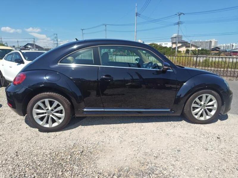 THE BEETLE
