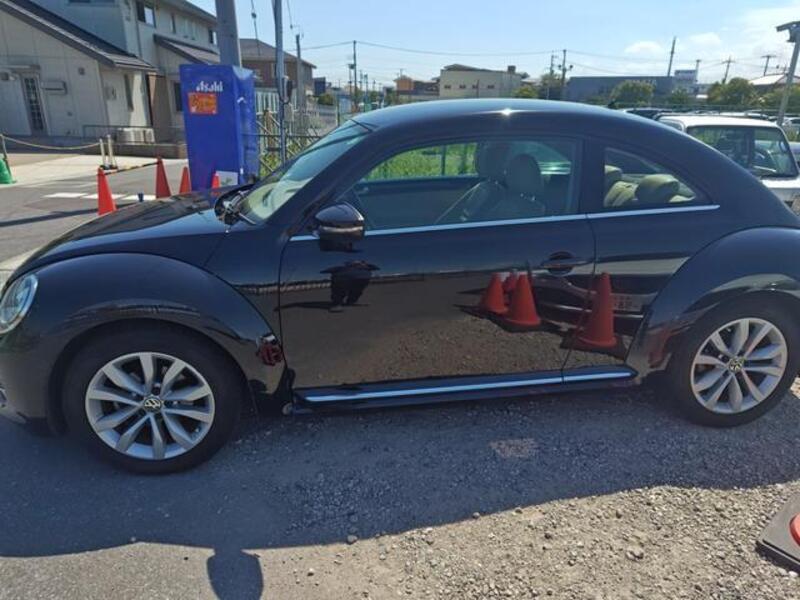 THE BEETLE