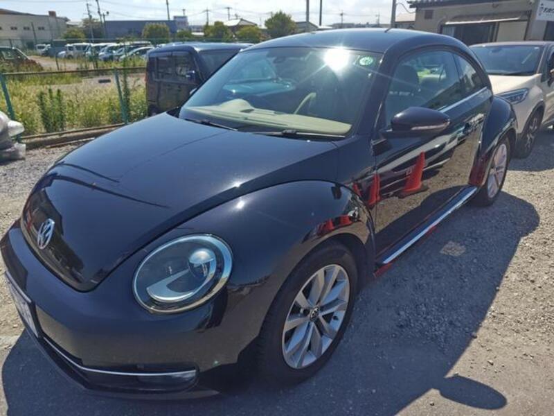 THE BEETLE