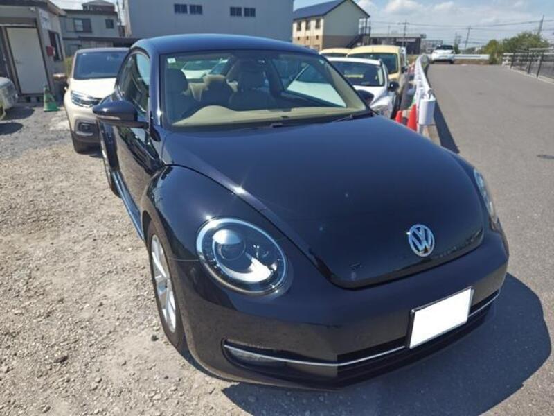 THE BEETLE