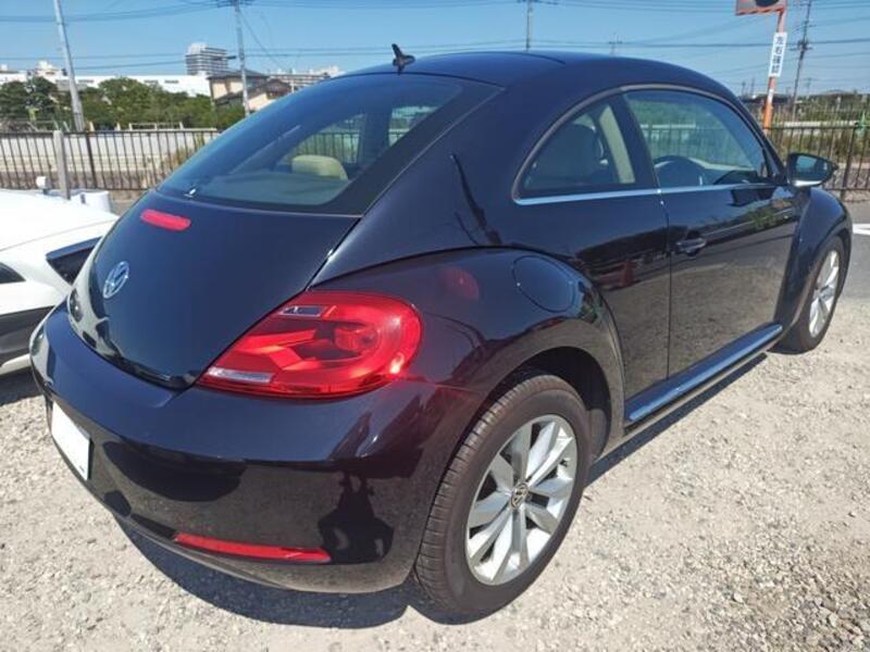 THE BEETLE