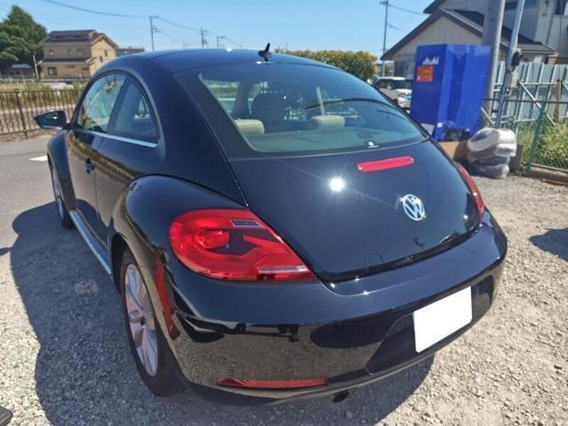 THE BEETLE
