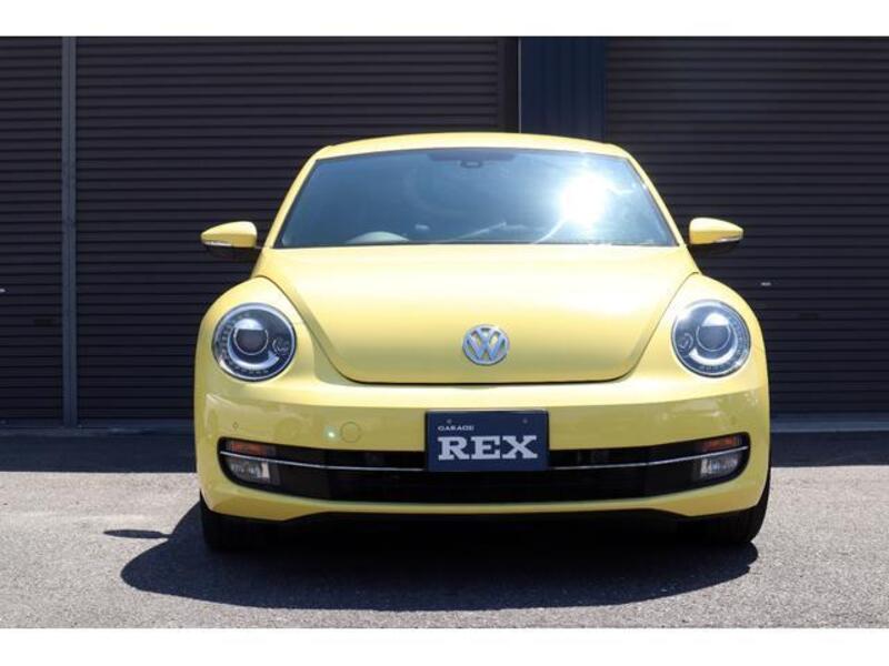 THE BEETLE