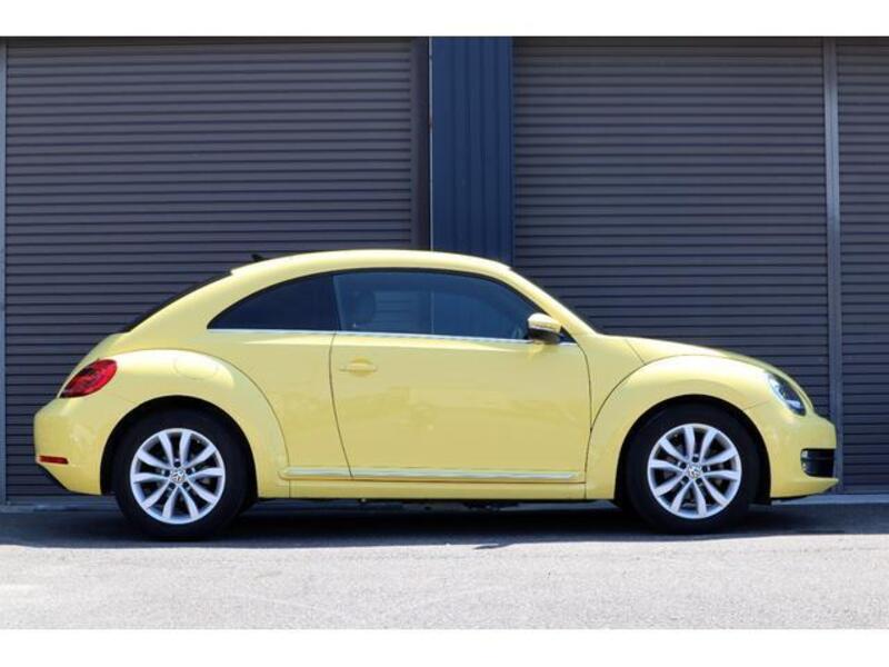 THE BEETLE