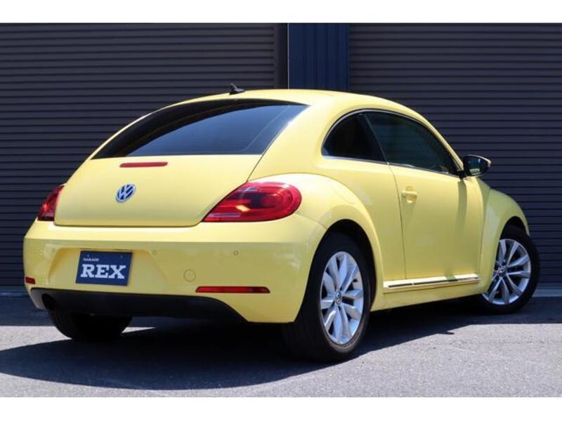 THE BEETLE