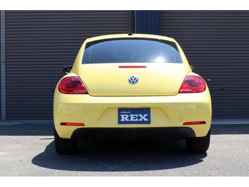 THE BEETLE