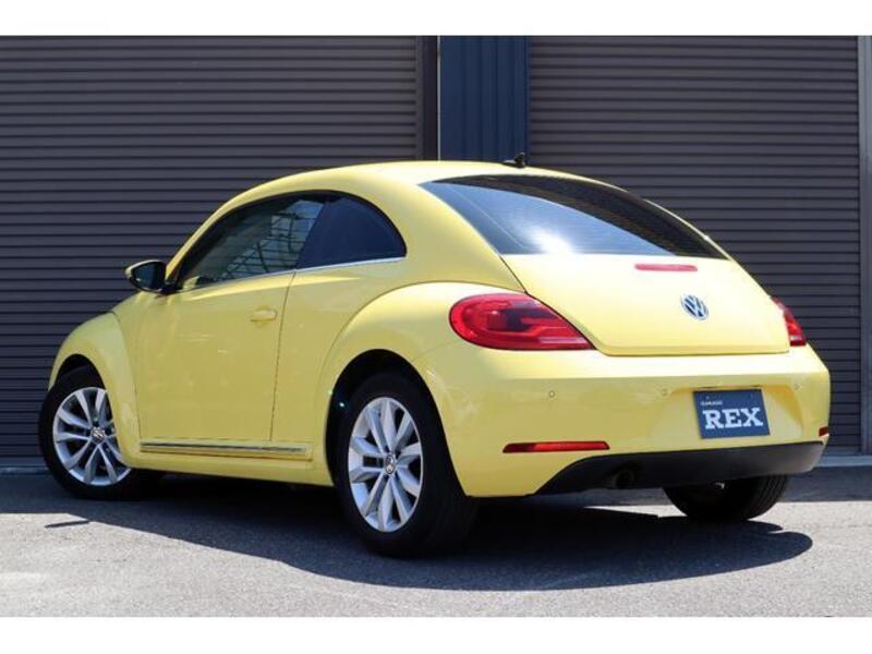 THE BEETLE