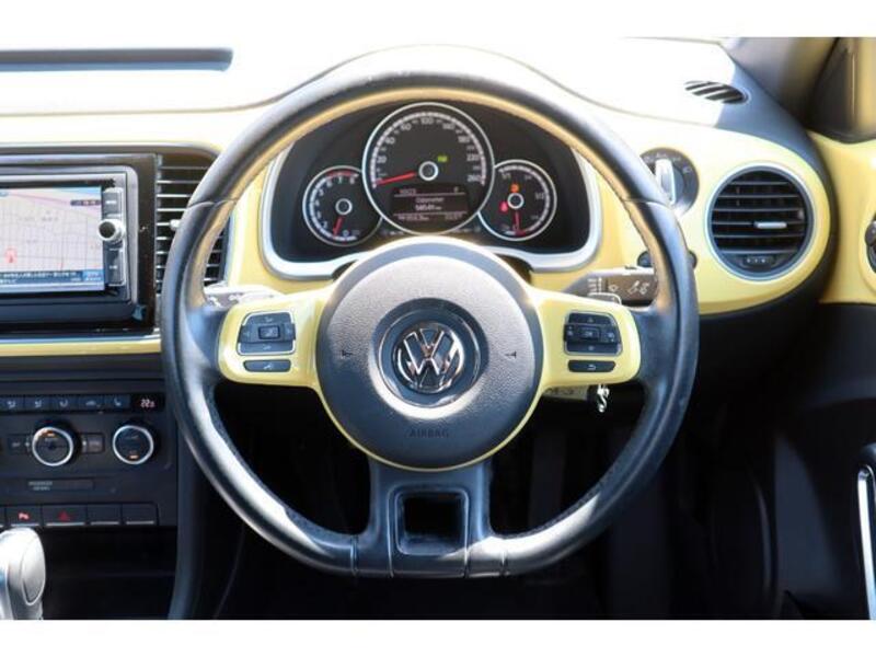 THE BEETLE