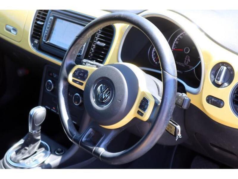 THE BEETLE