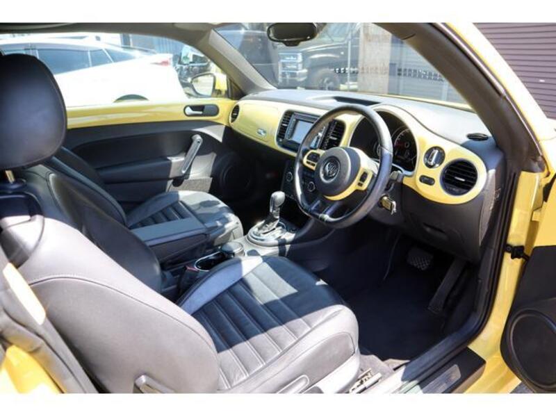 THE BEETLE